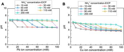 Immobilizing lead and copper in aqueous solution using microbial- and enzyme-induced carbonate precipitation